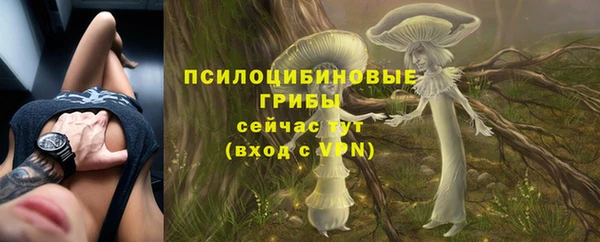 МДПВ Белокуриха