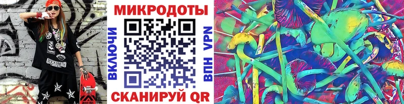 закладки  Бородино  Галлюциногенные грибы Psilocybine cubensis 
